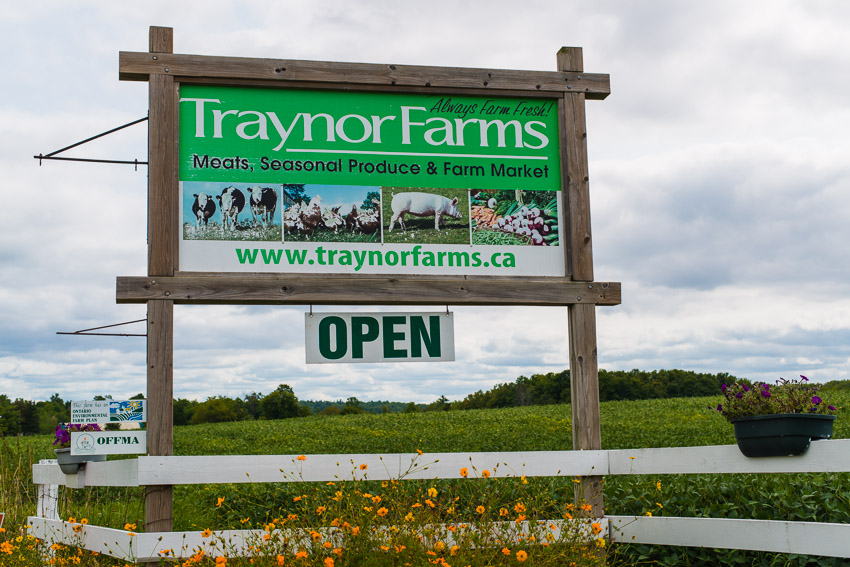 Fresh produce selection at a farm market